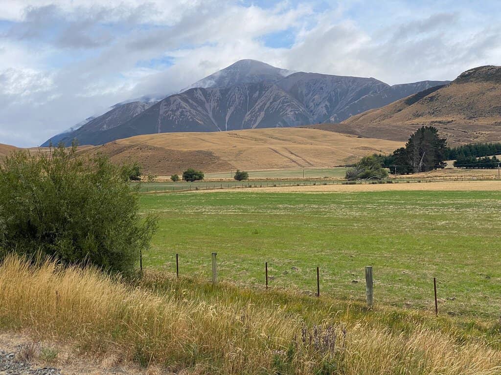 Open-Air Viewing Carriage