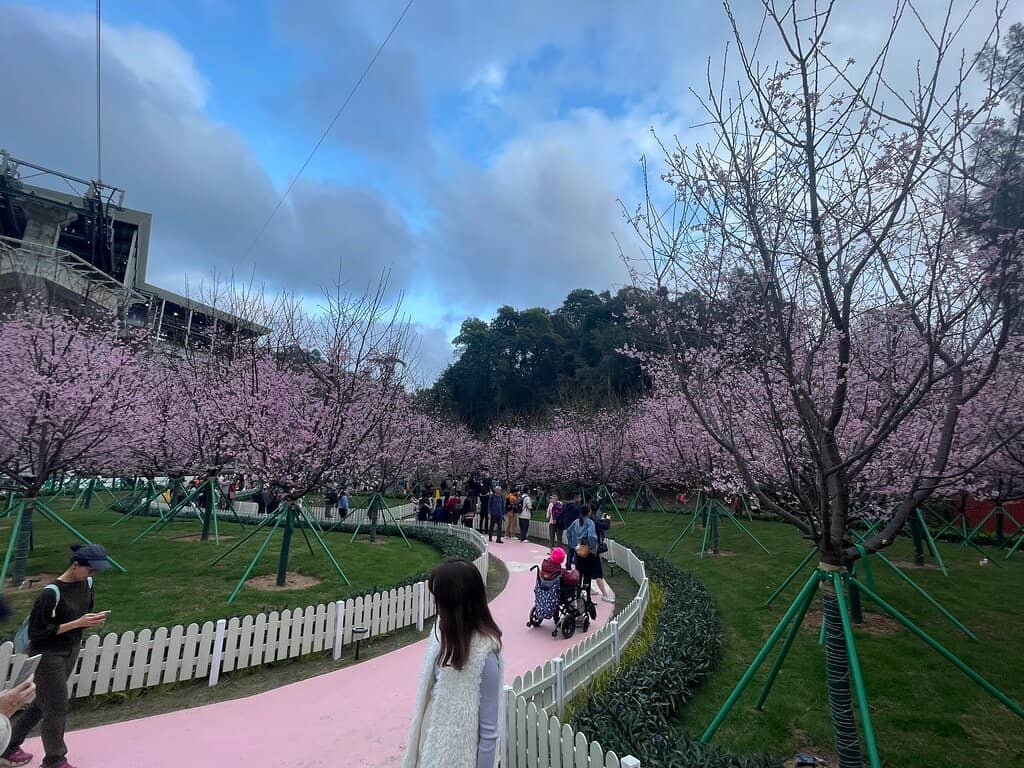 Ngong Ping 360 Cable Car Backdrop