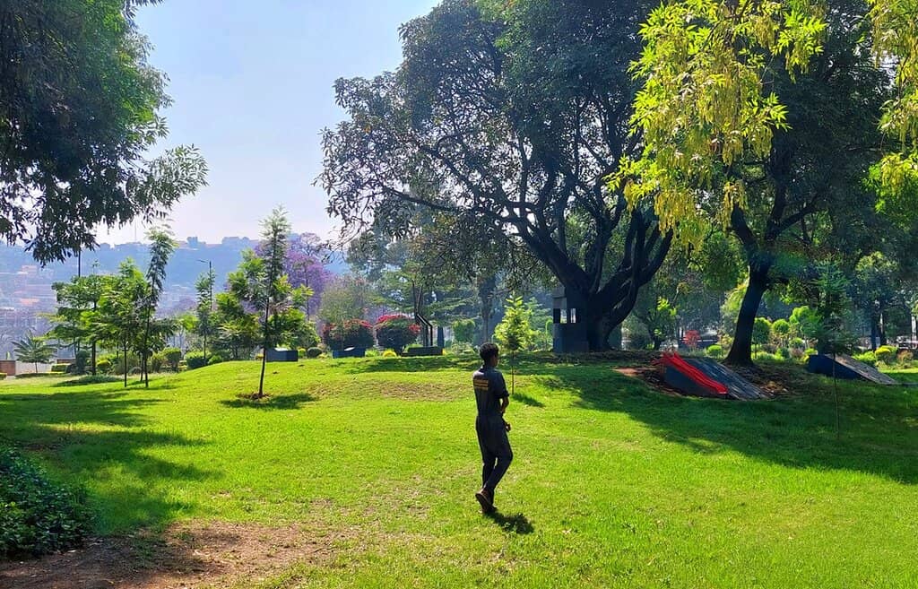 Panoramic City Views