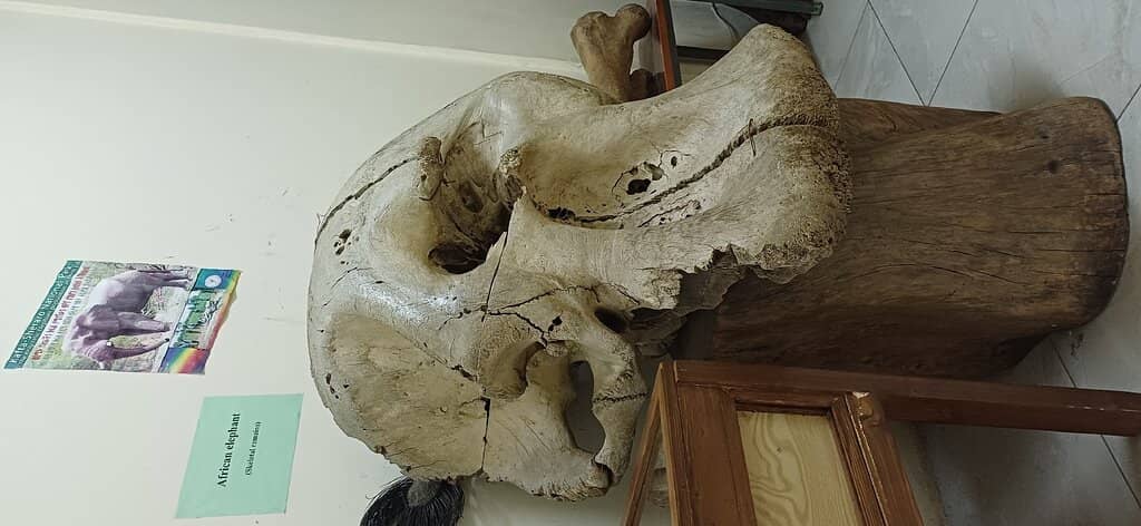 Conservation Message