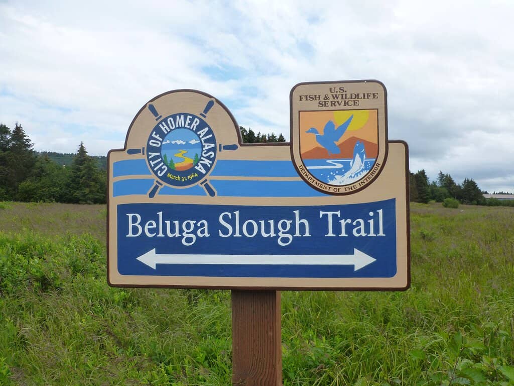 Estuary Walking Trails