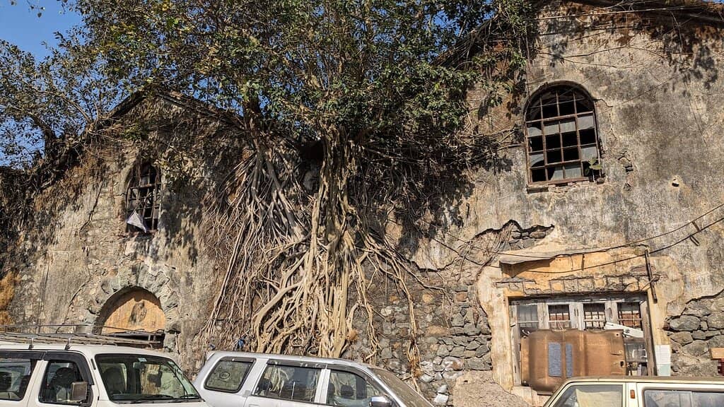 The Bustling Fish Market