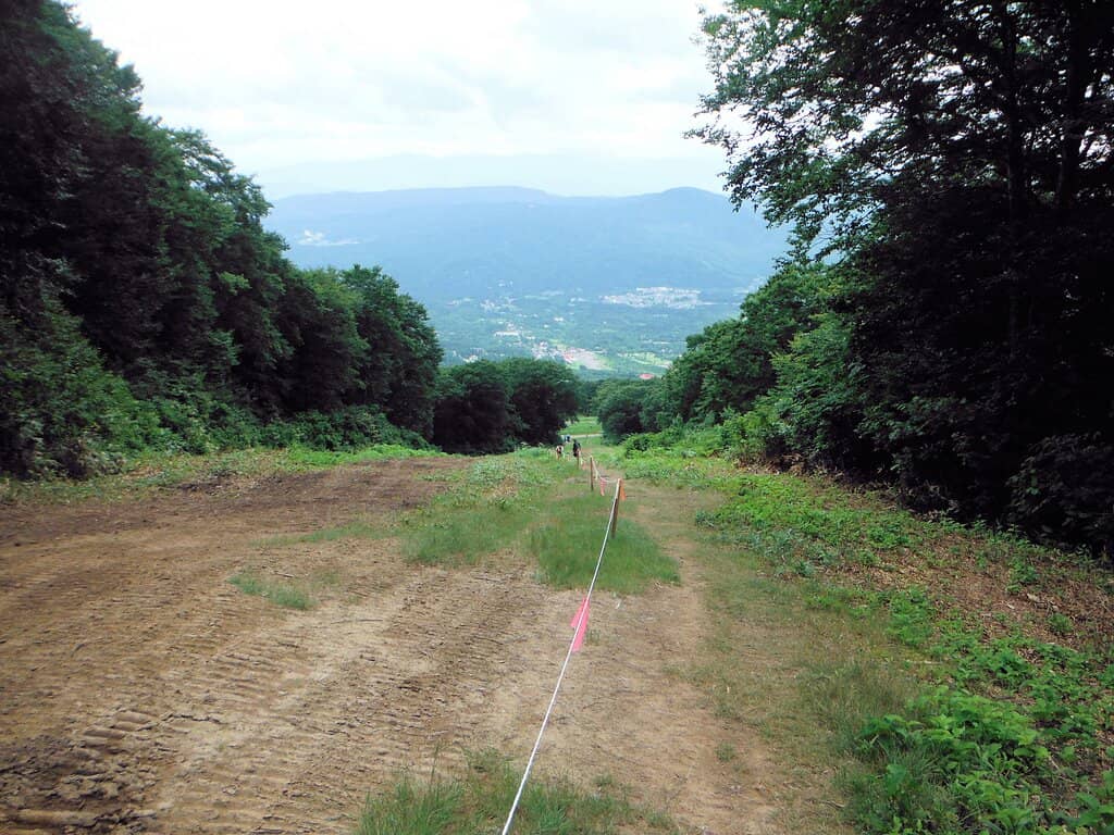 Winter Powder Paradise