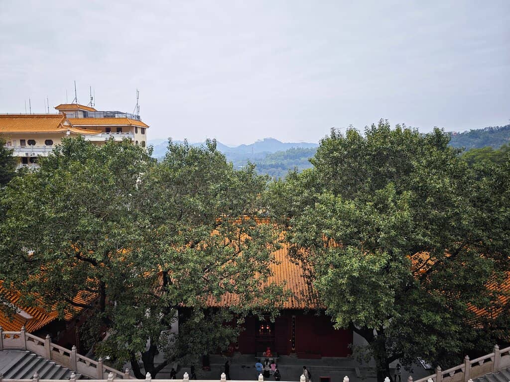 Stone Carvings on Wutong Mountain