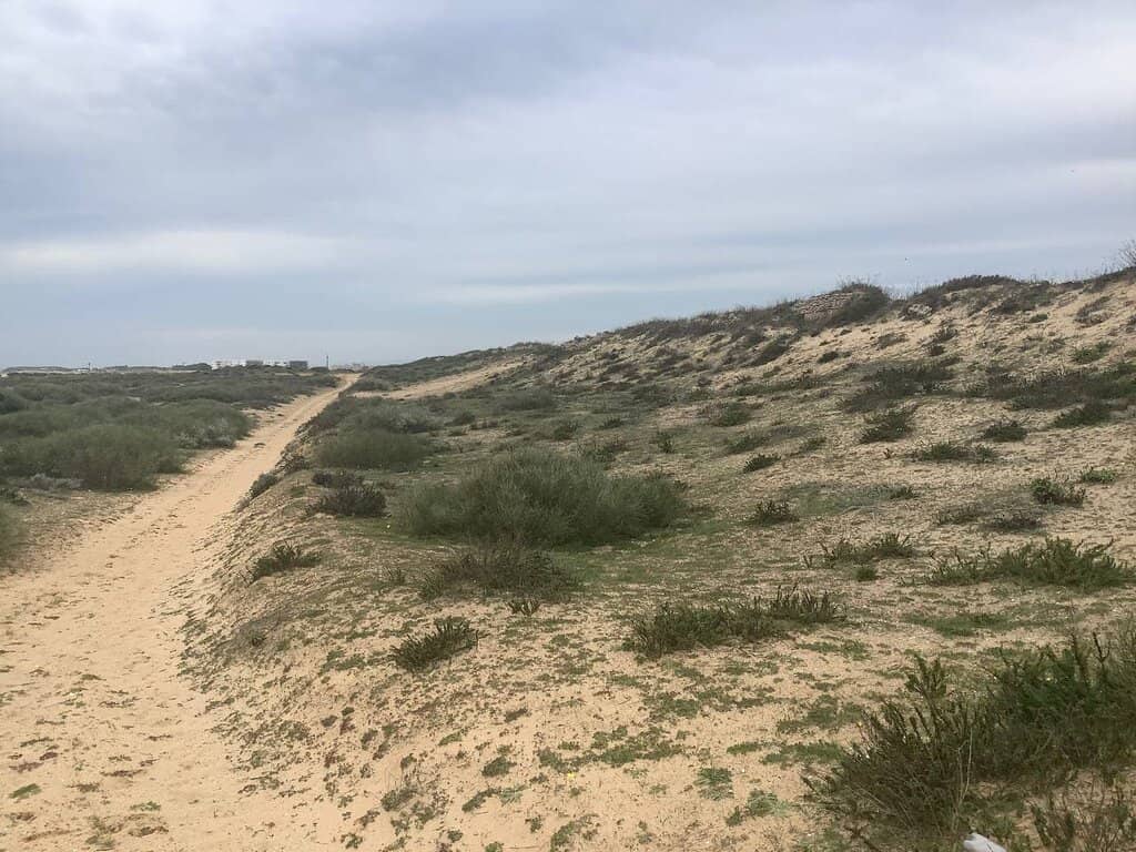 Crystal Clear Waters