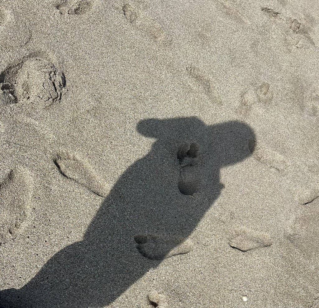 Upscale Shopping & Dining