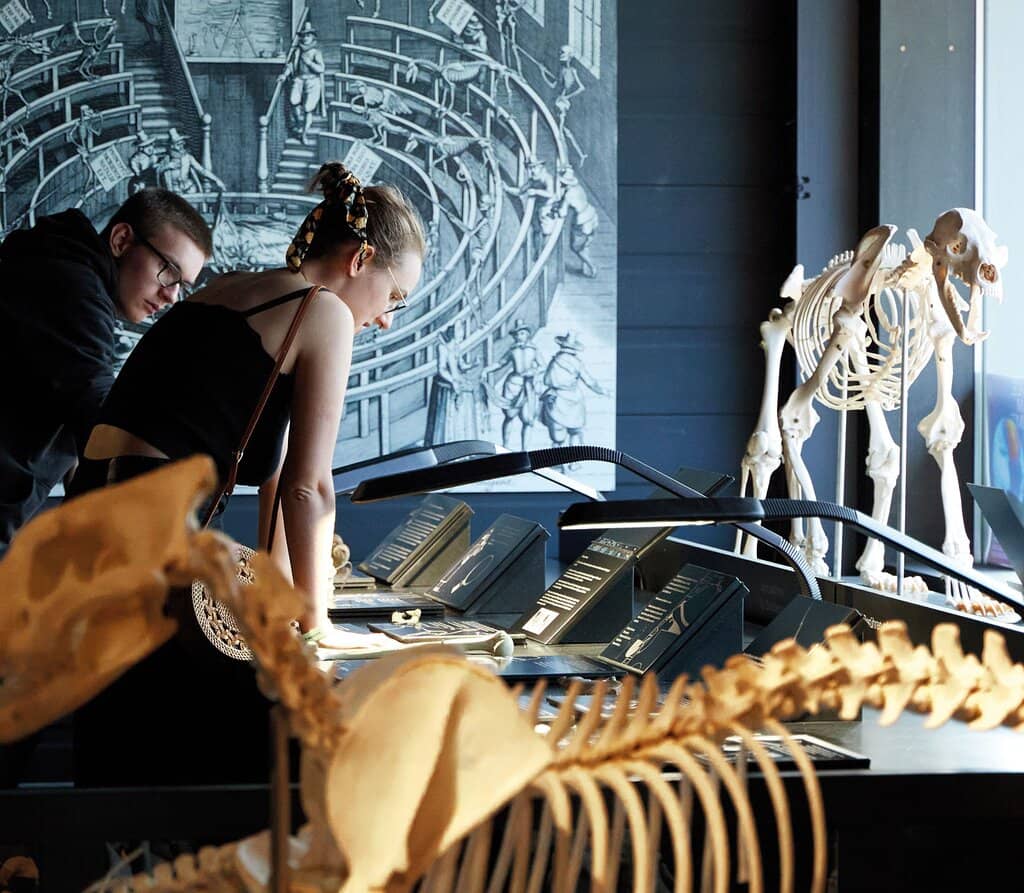 Interactive Exhibits