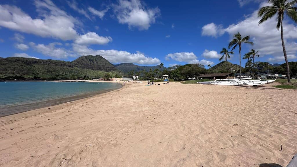 Playground & Picnic Areas