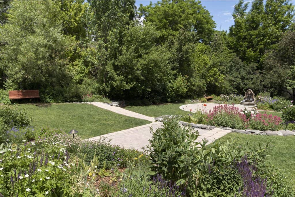 Expedition Dinosaur: Rise of the Mammals