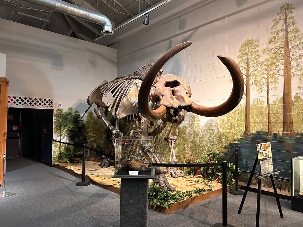 Florida's Natural History