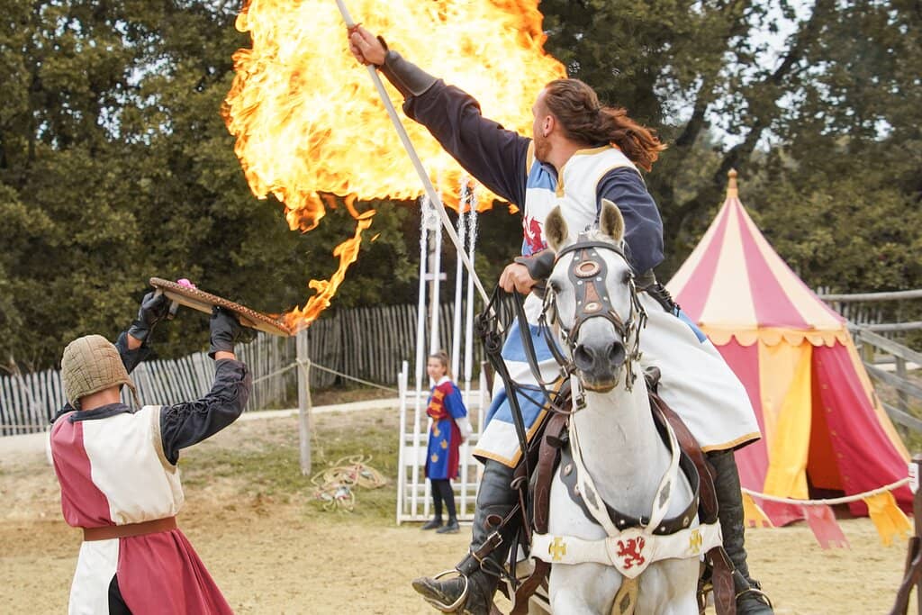 Medieval Festival & Jousting