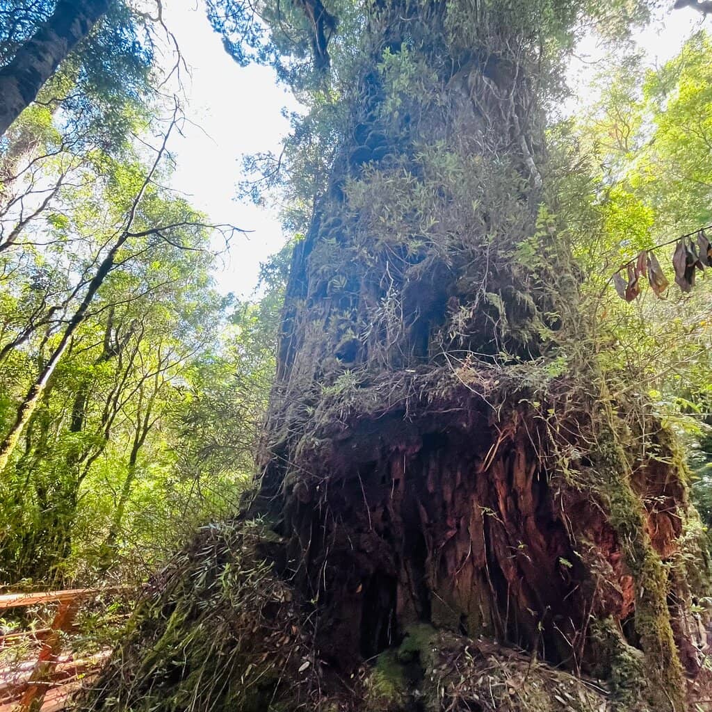 Sea Lion Colony (Lobería)