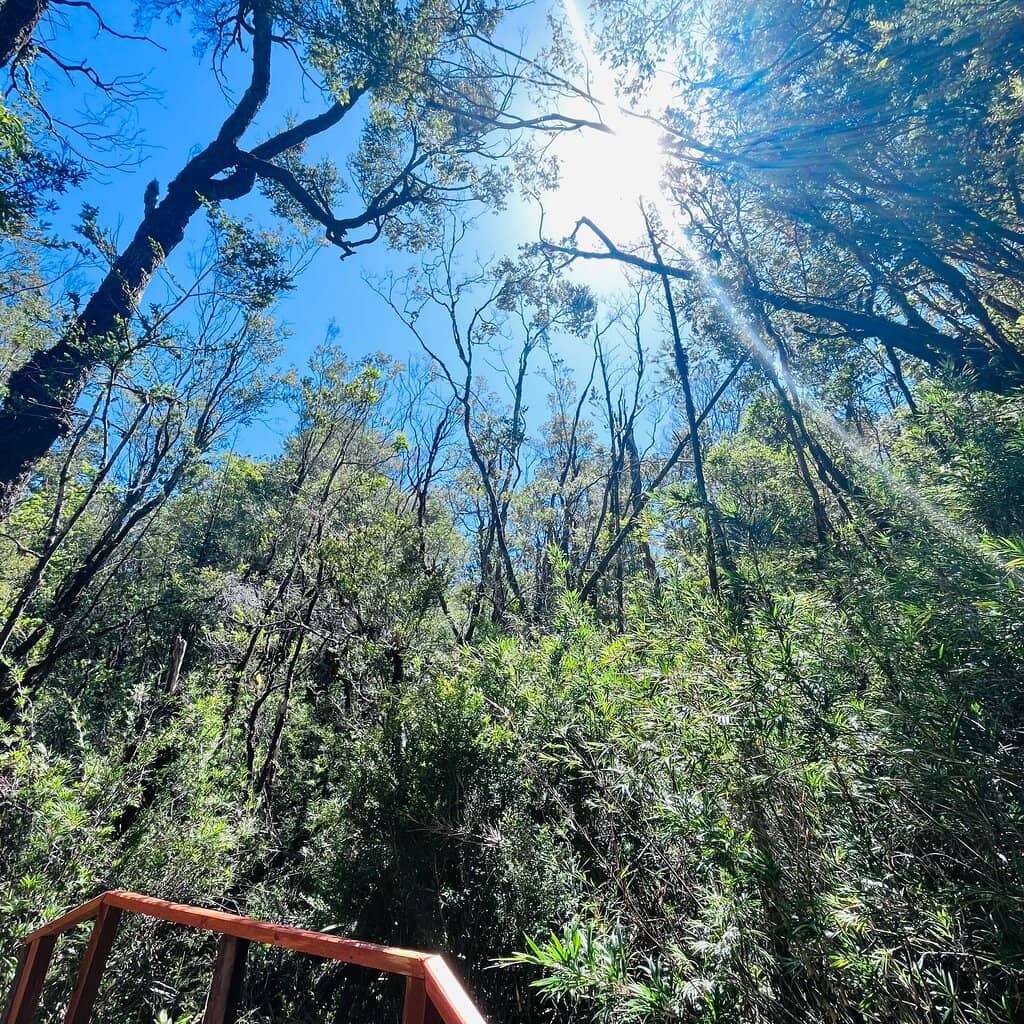 Colun Dunes and Beach