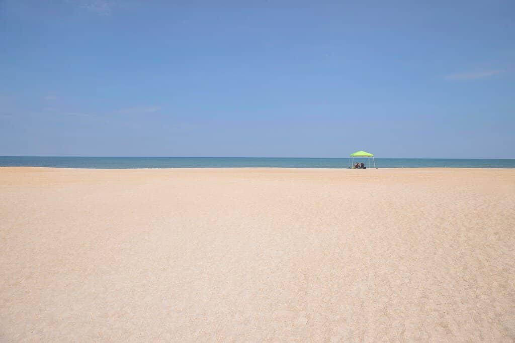 Birdwatcher's Paradise