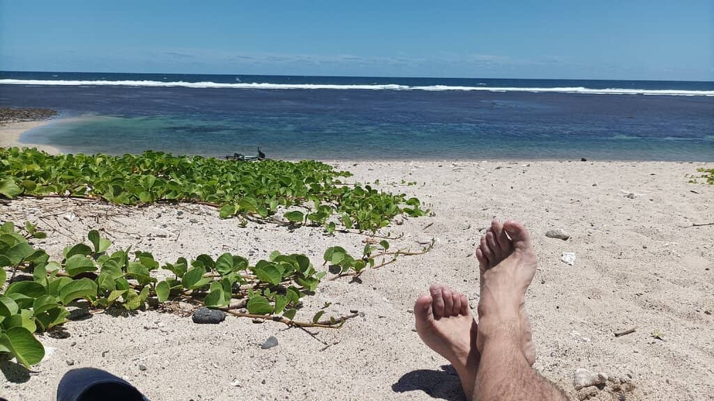 Vibrant Underwater World