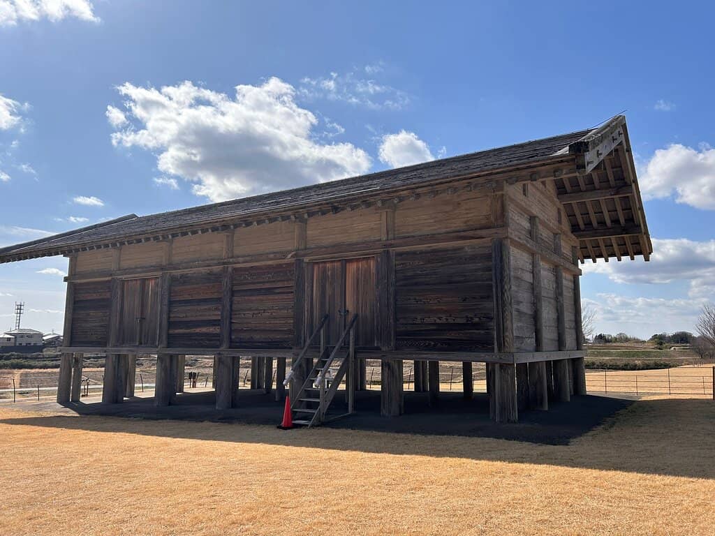 Expansive Grassy Fields