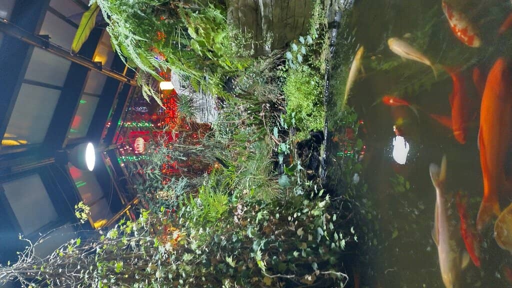 Global Plant Collection