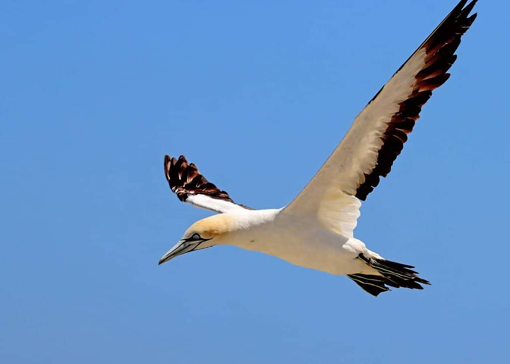 Cross-State Beach Walk
