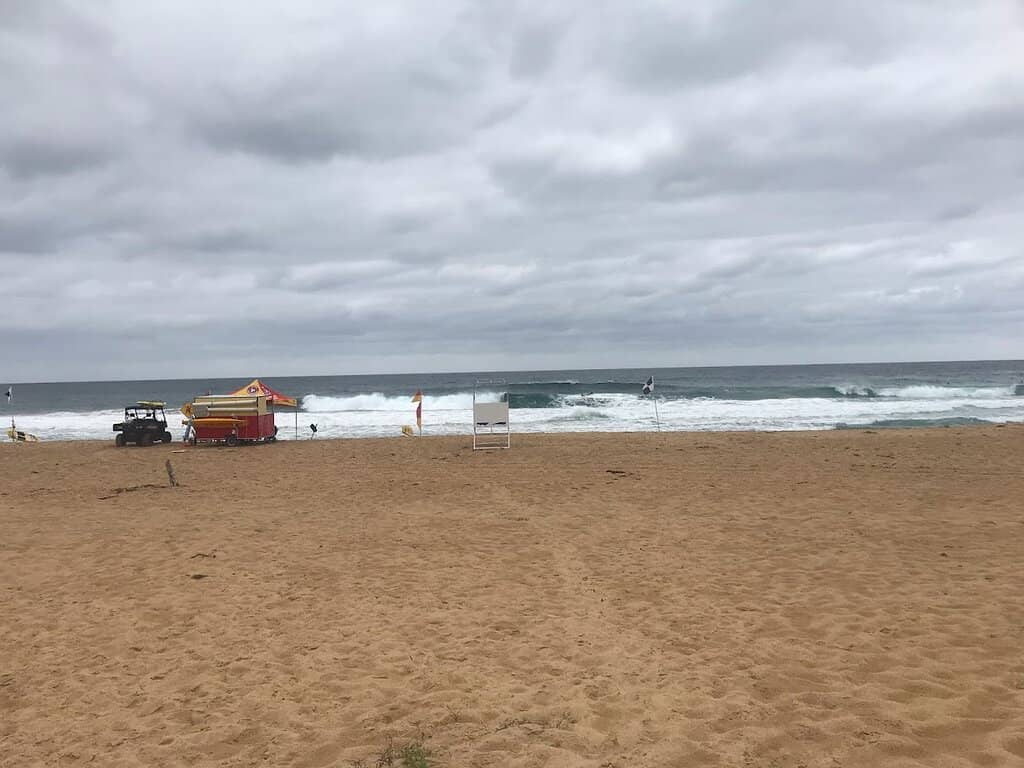 Dog-Friendly Beach Fun
