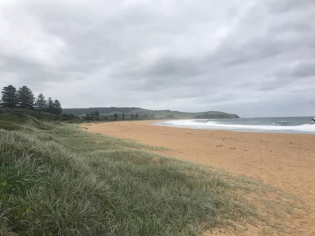 Scenic Coastal Drive