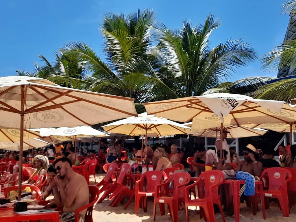 Vibrant Cocktail Selection