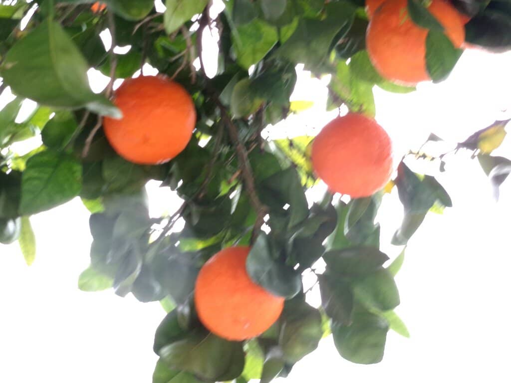 City Views from Above