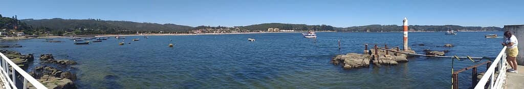 Playground and Park Area