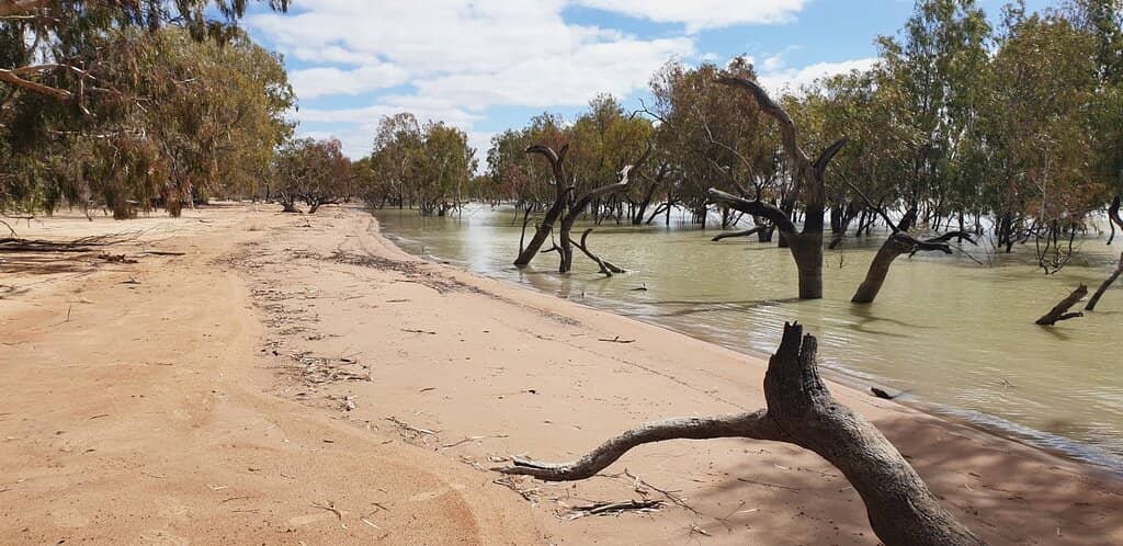 Menindee Lakes at Night