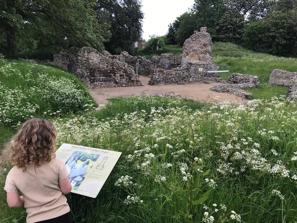 Cathedral Meadows Walk