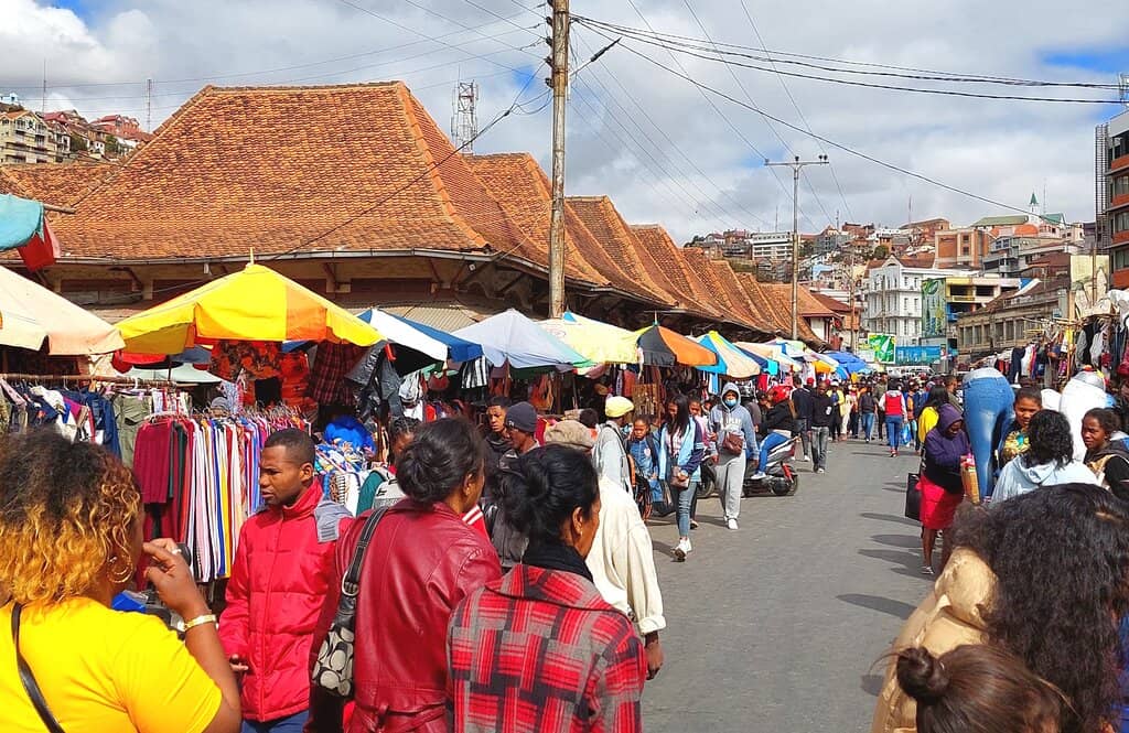 Street Food Delights