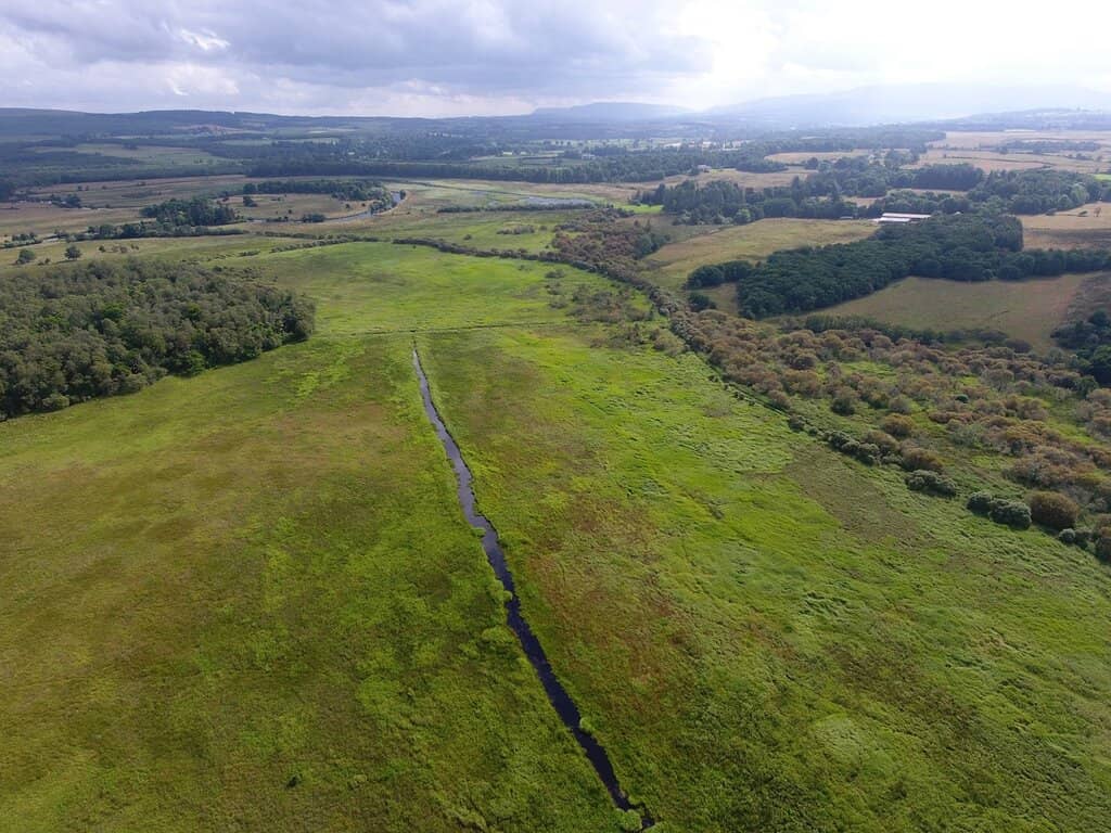 Loch Lomond Shoreline