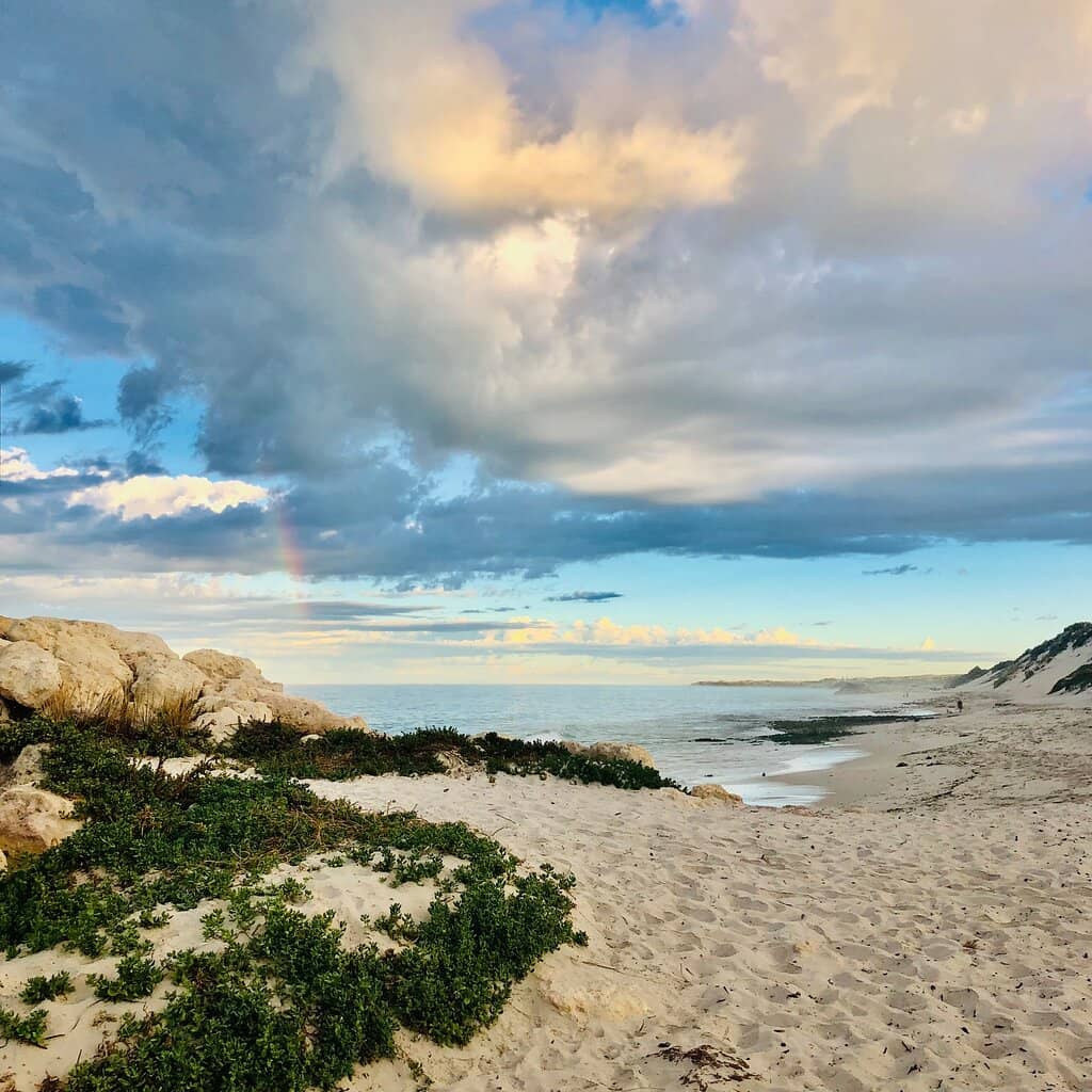 Dog-Friendly Paradise