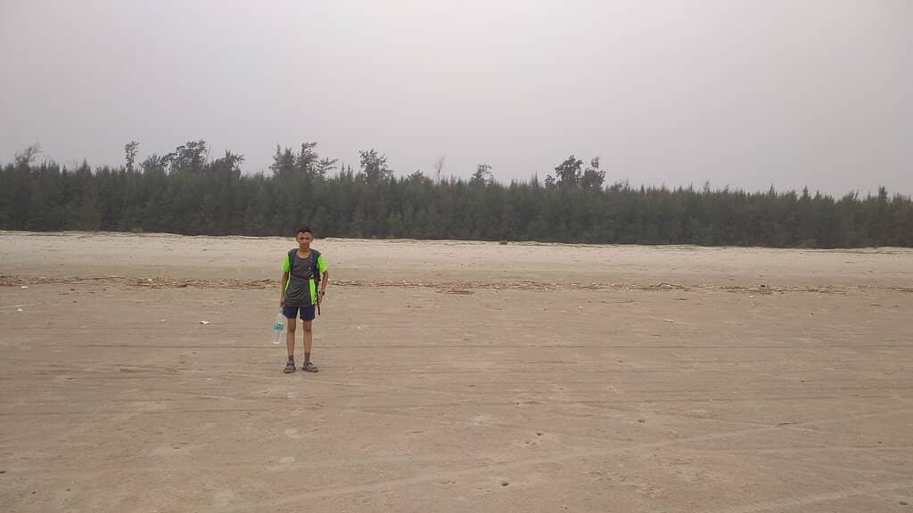 Driveway Along the Beach