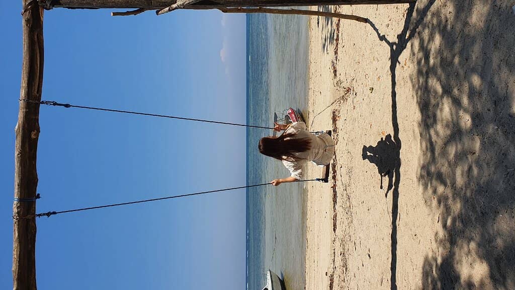 Mangrove Exploration