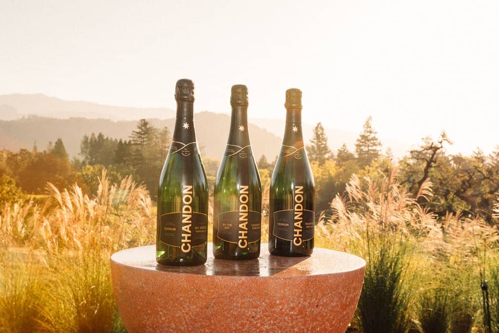 Special Events and Gatherings