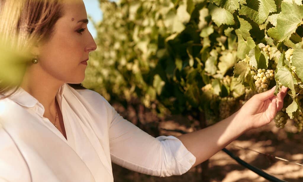 Stunning Estate Grounds