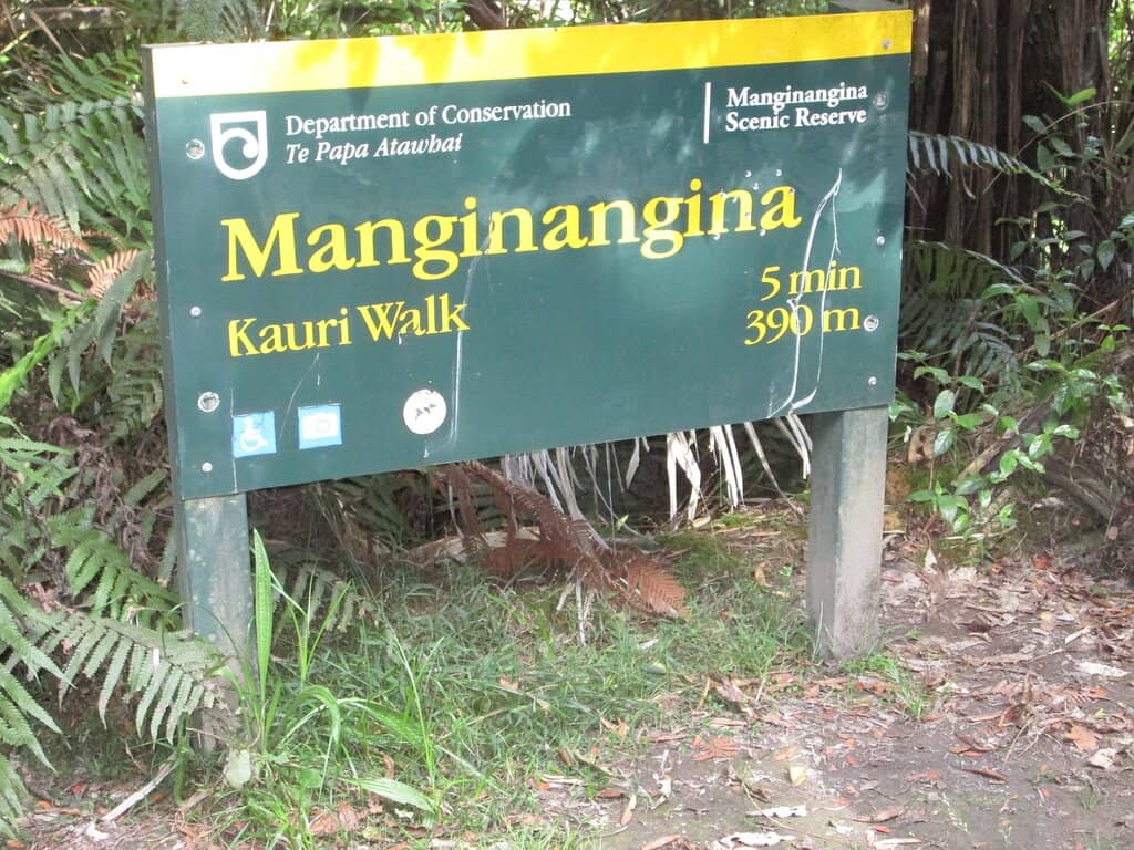 Native Birdlife and Flora