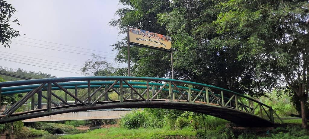 Natural Fish Spa Experience