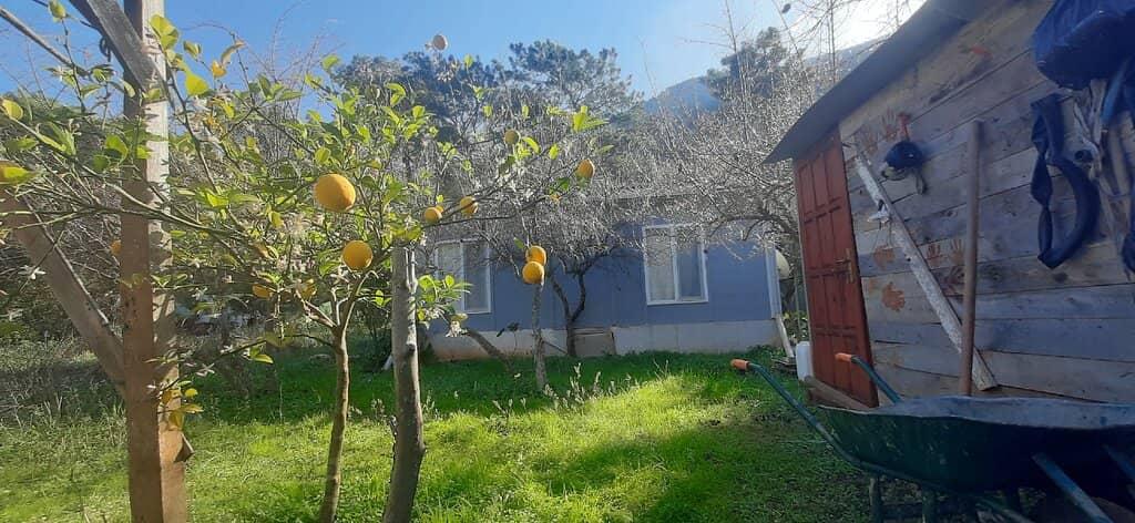 Pirate Bay (Korsan Koyu)