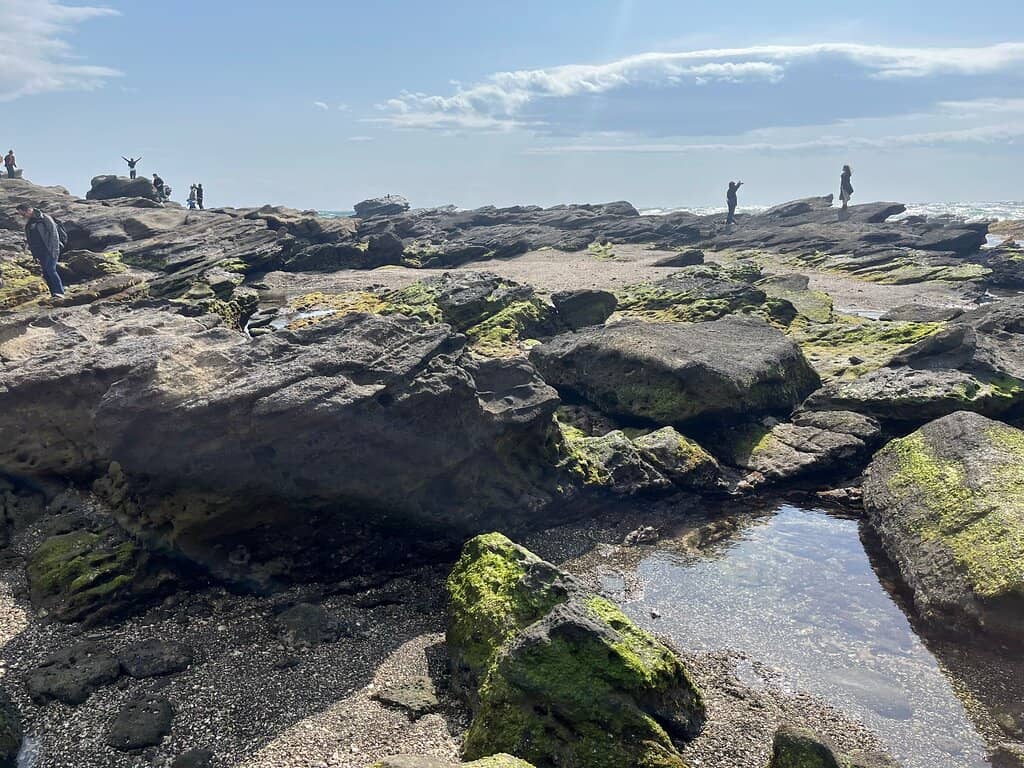 Panoramic Ocean Vistas