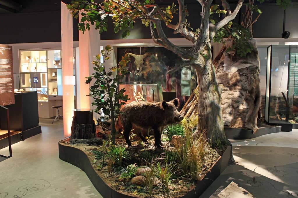 Interactive Family Exhibits