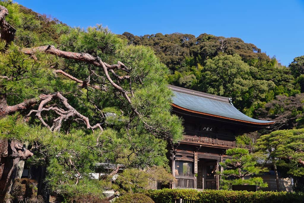 Tranquil Zen Gardens