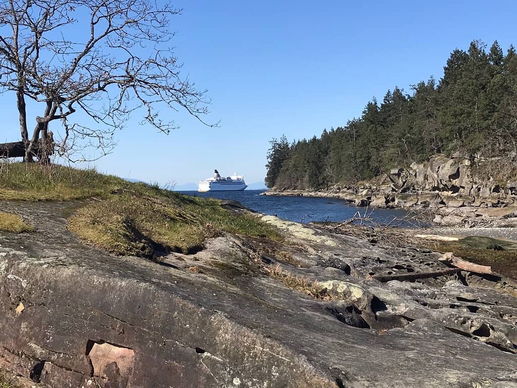 Boardwalk Through Arbutus Forest