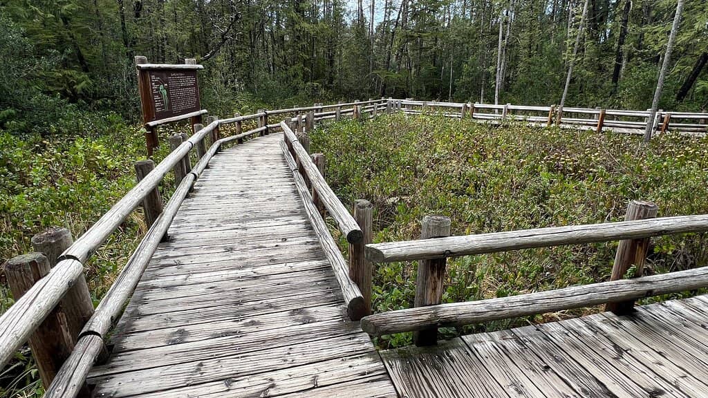 Accessible Boardwalk Trail