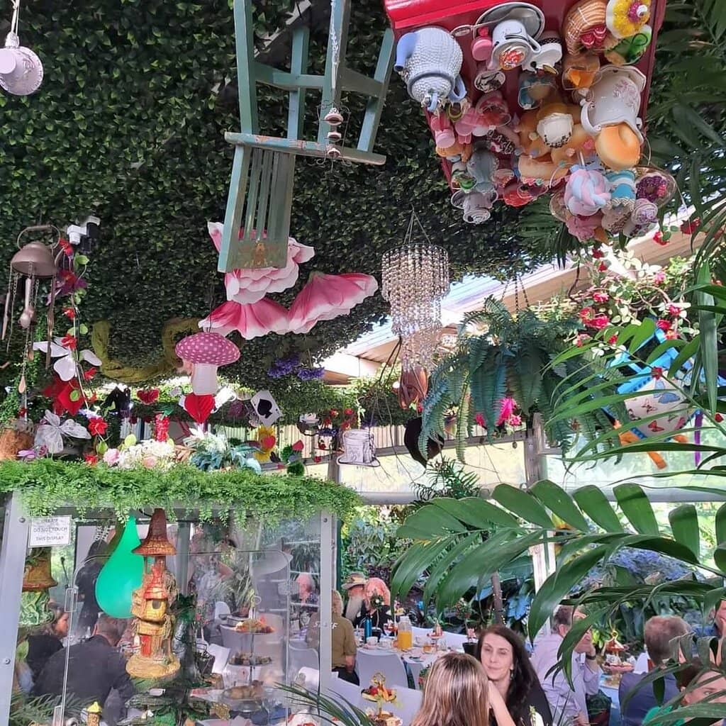 Dinosaur Forest & Show