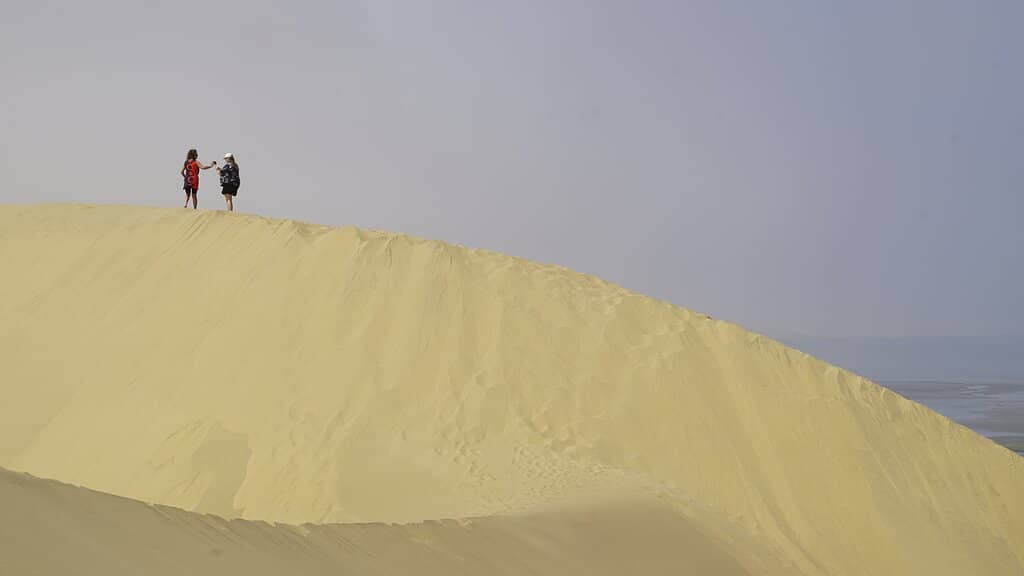 Desert Dune Adventures