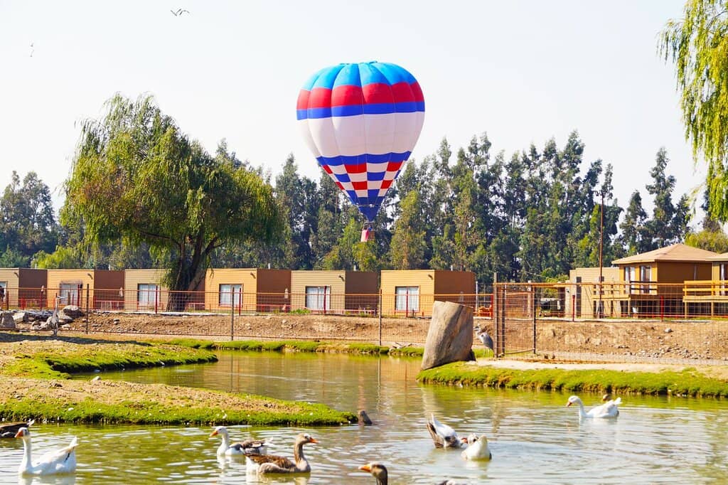 Animal Conservation Focus