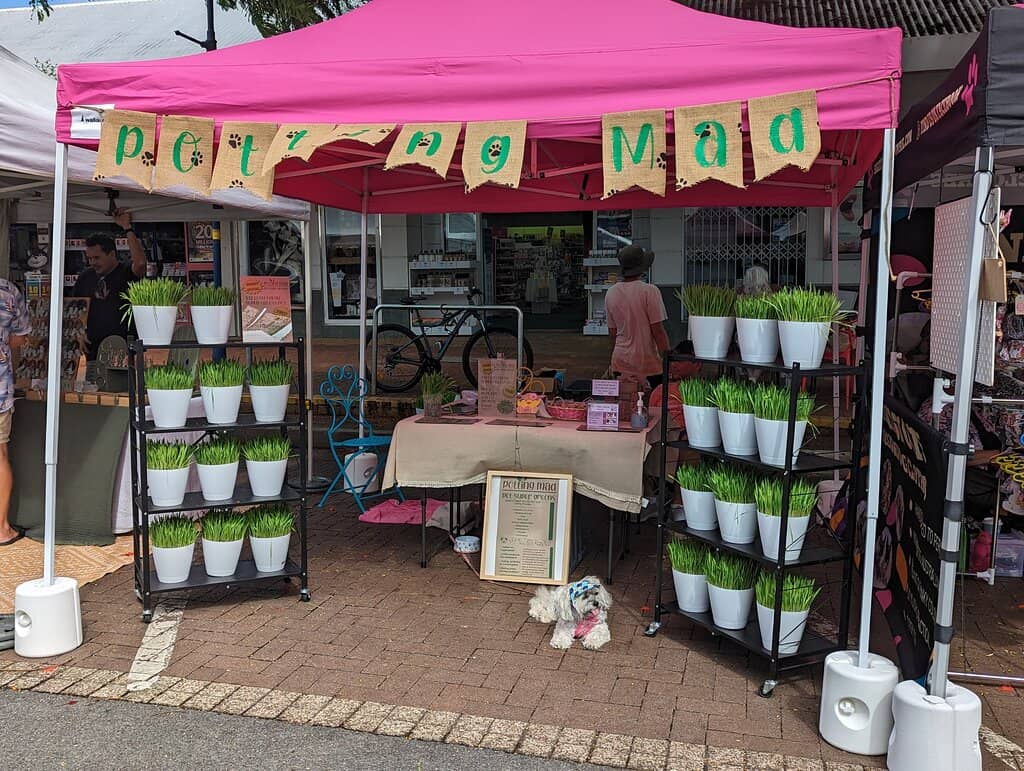 Artisan Crafts & Gifts