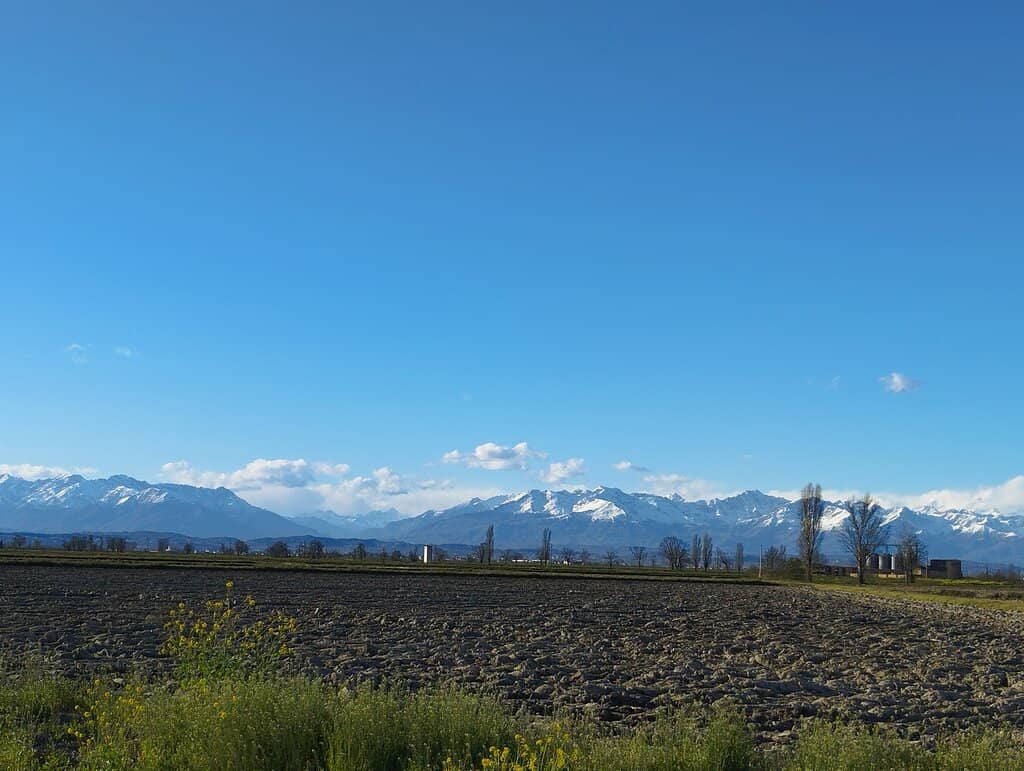 Historical Agricultural Estate