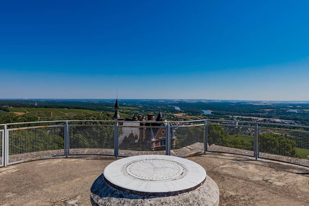 Vineyard and Town Perspective